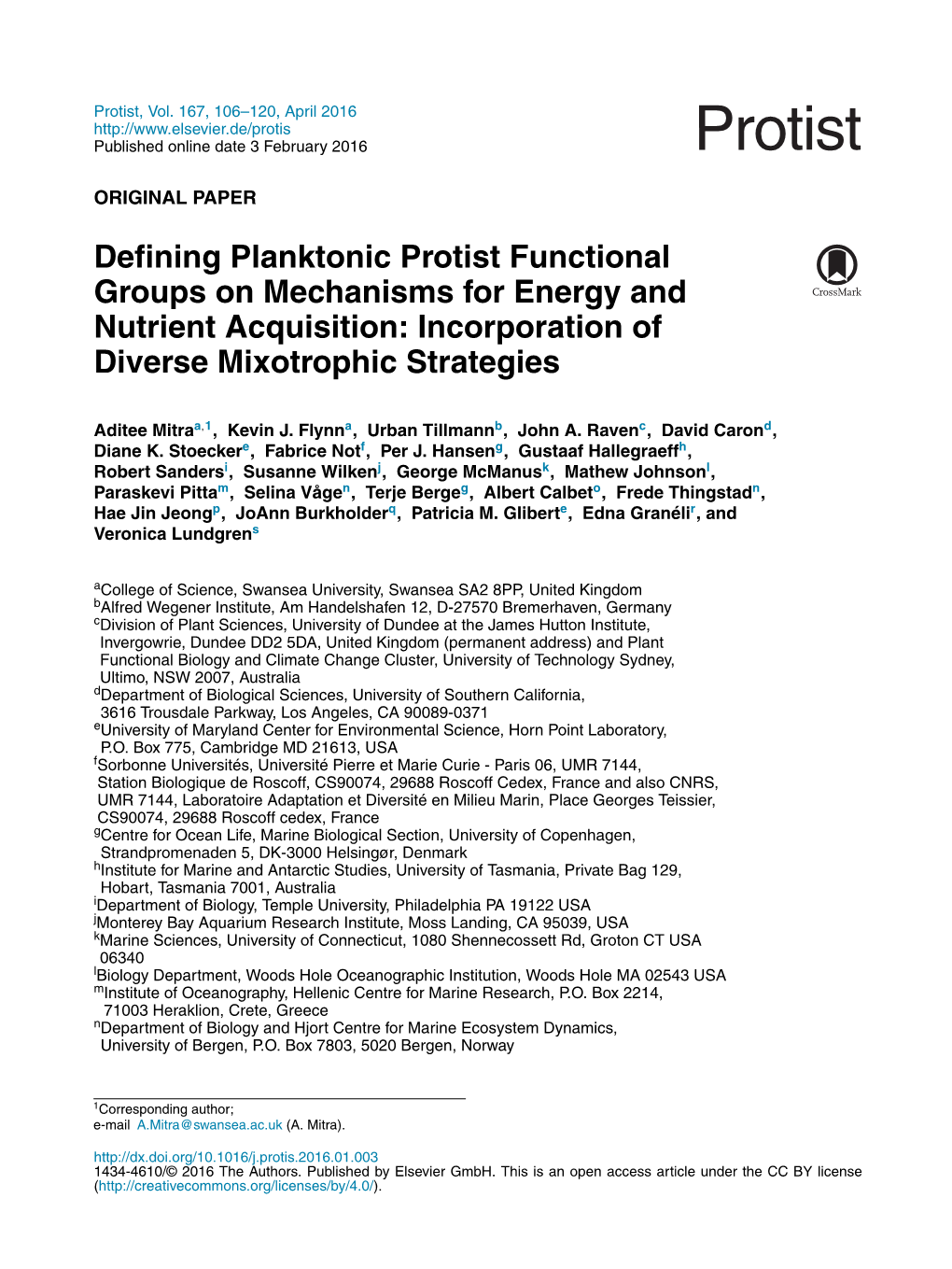 Defining Planktonic Protist Functional Groups on Mechanisms for Energy