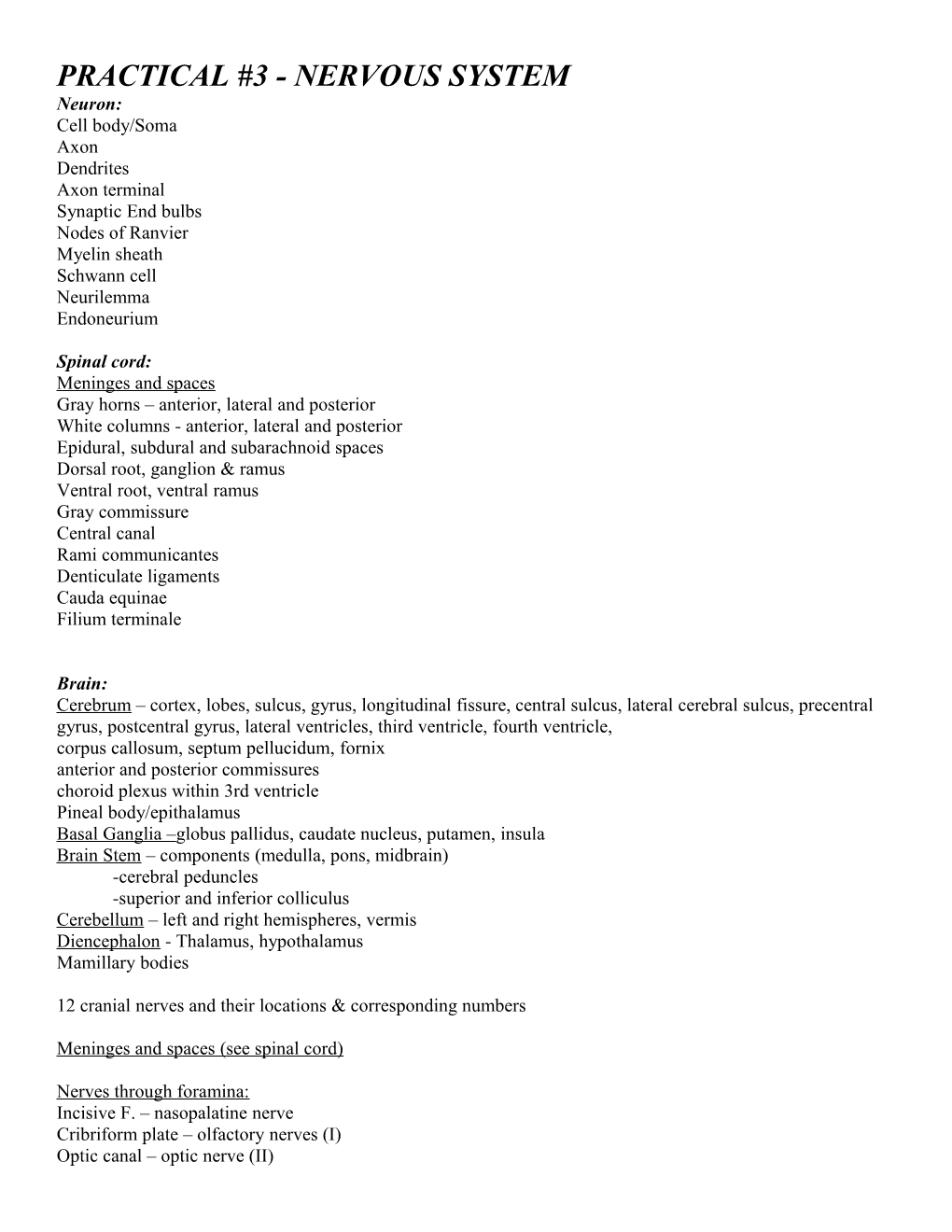 Practical #3 - Nervous System