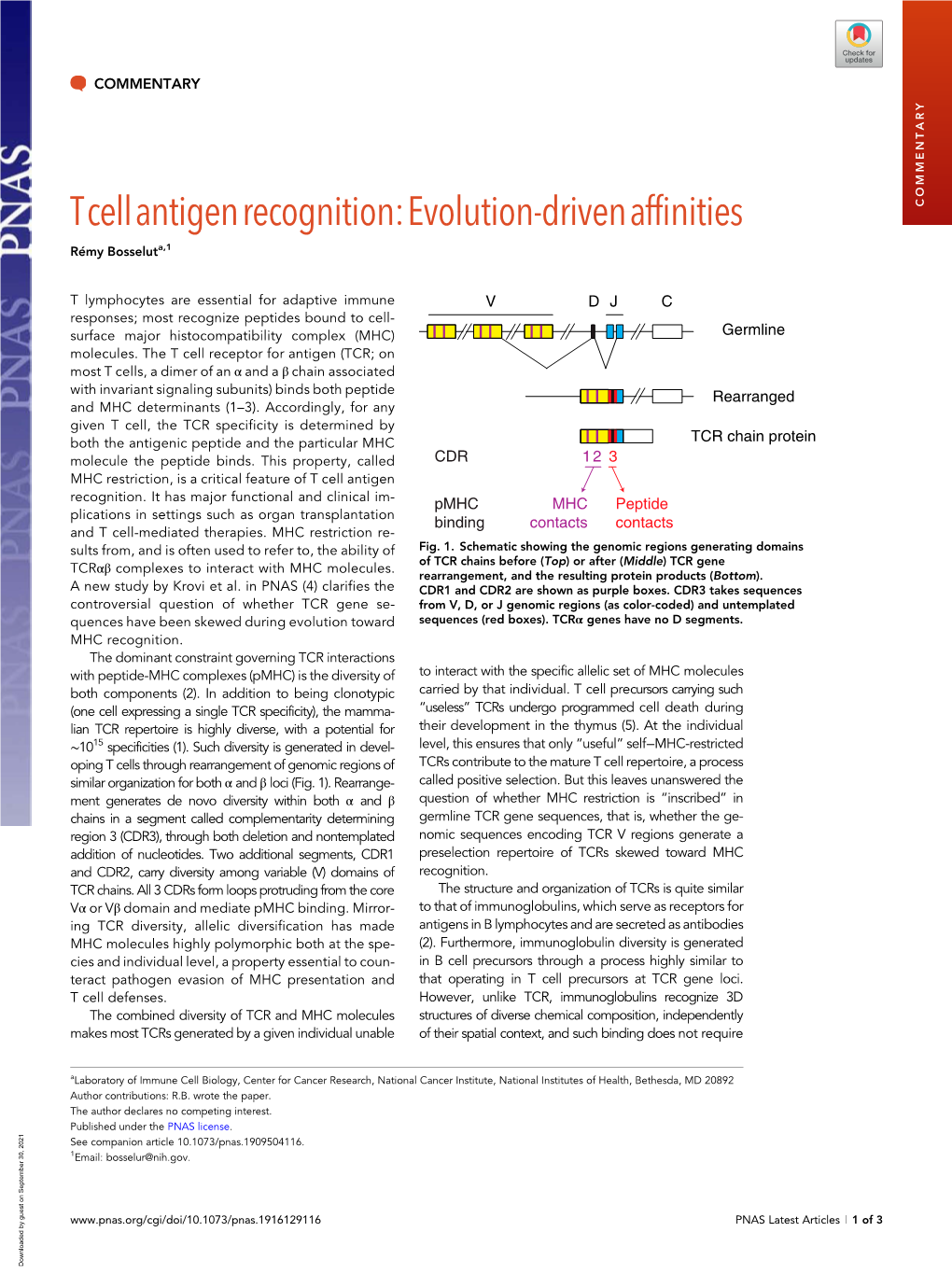 T Cell Antigen Recognition: Evolution-Driven Affinities