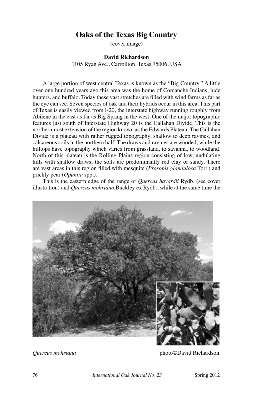 Oaks of the Texas Big Country (Cover Image)