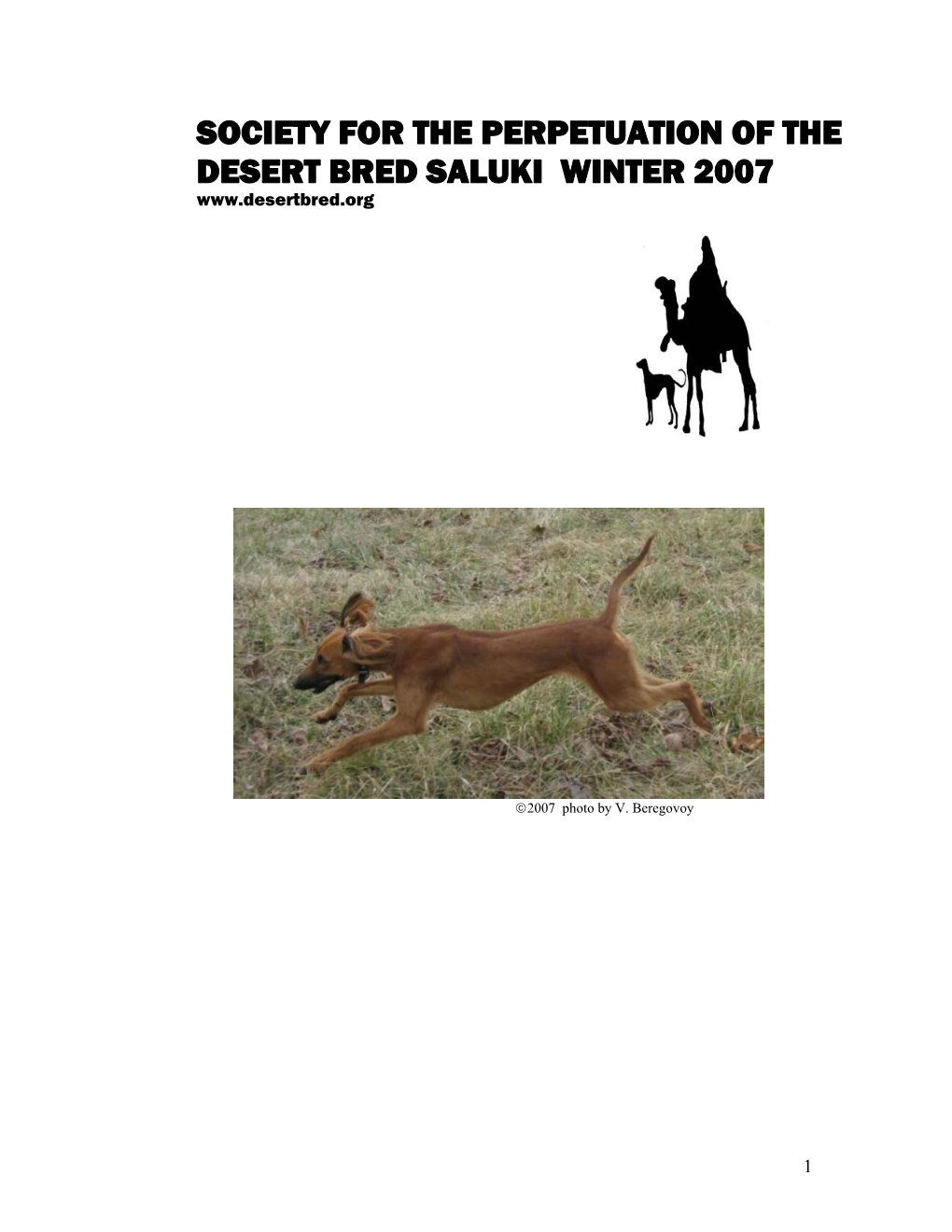 Society for the Perpetuation of the Desert Bred Saluki Winter 2007