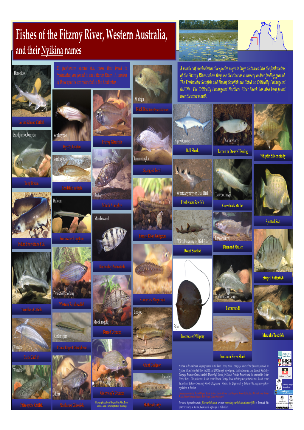Fishes of the Fitzroy River, Western Australia, and Their Nyikina Names Western AUSTRALIA Australia 23 Freshwater Species (I.E