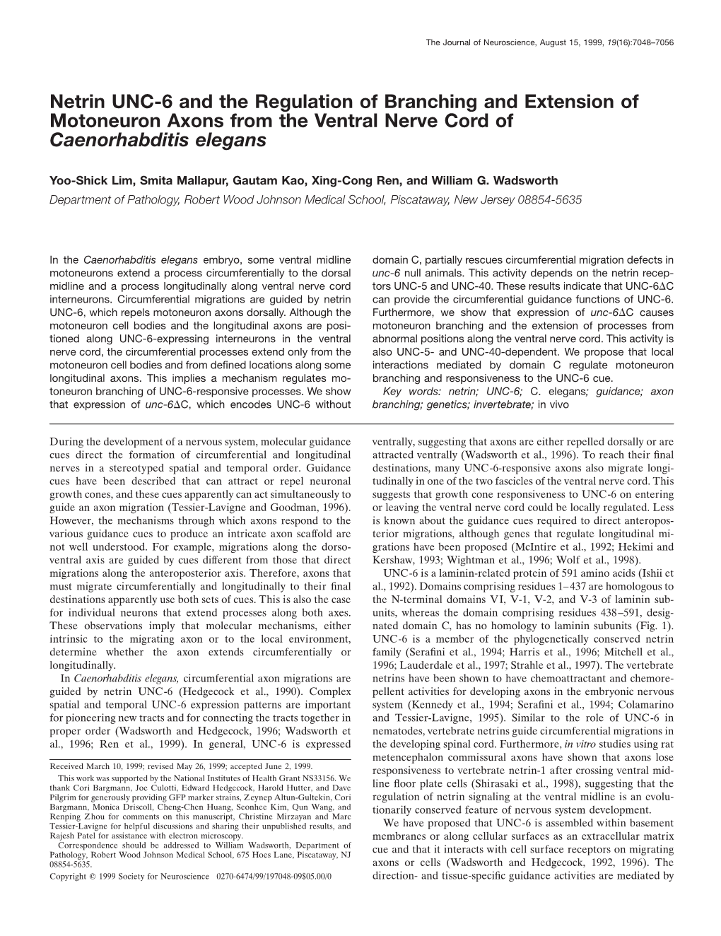 Netrin UNC-6 and the Regulation of Branching and Extension of Motoneuron Axons from the Ventral Nerve Cord of Caenorhabditis Elegans