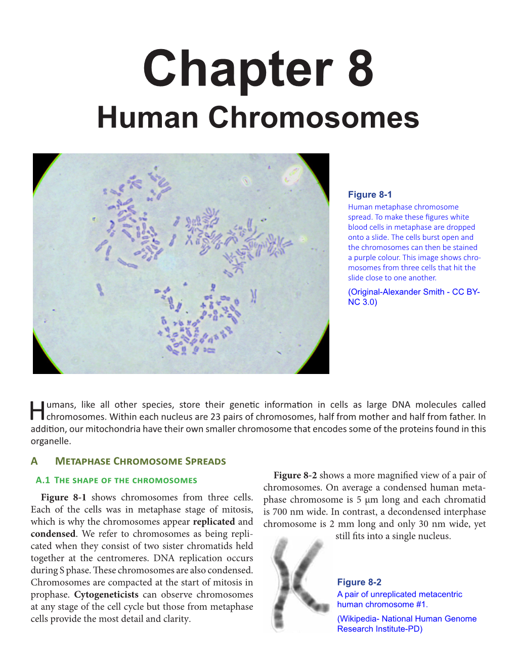 Chapter 8 Human Chromosomes