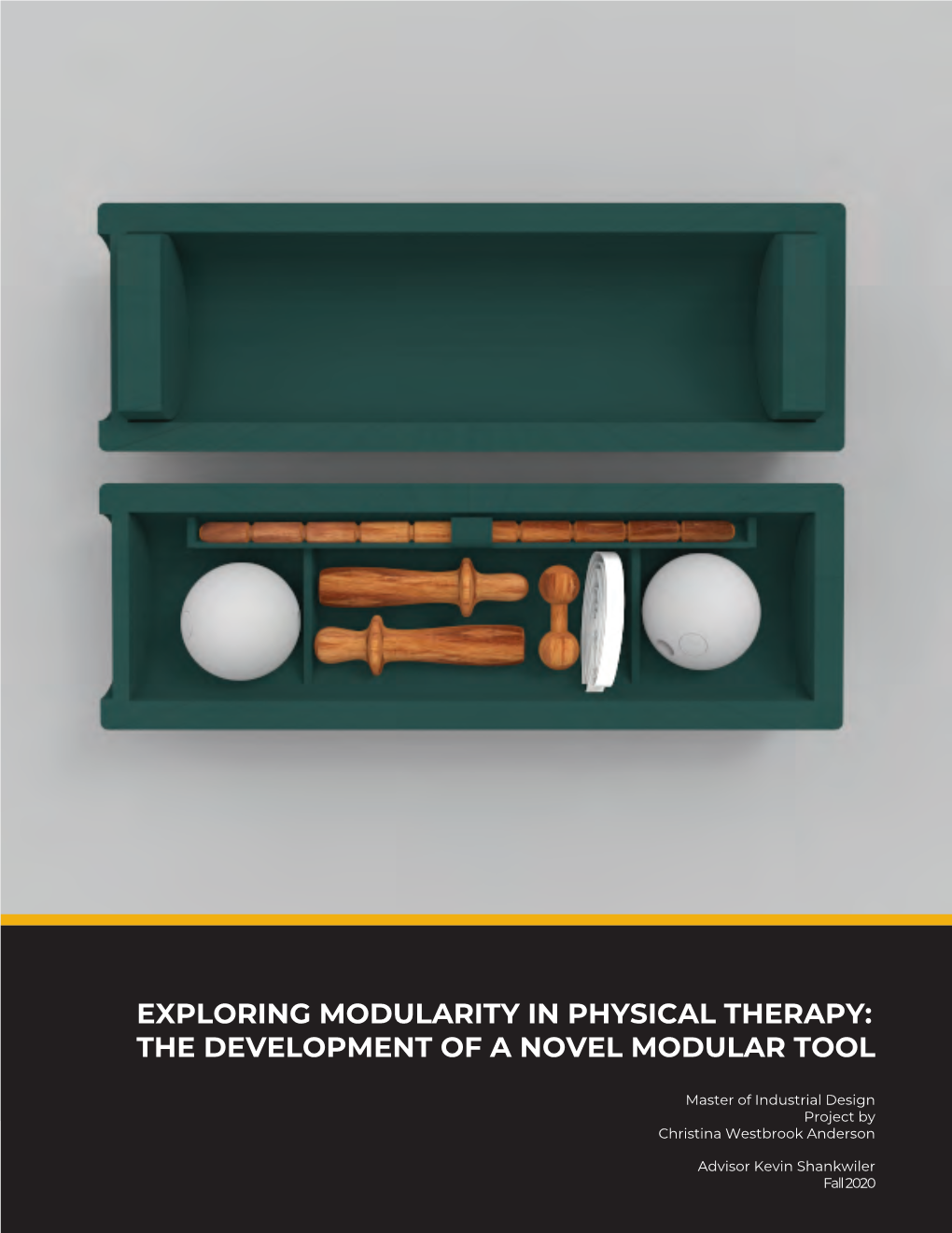 EXPLORING MODULARITY in PHYSICAL THERAPY: the DEVELOPMENT of a NOVEL MODULAR TOOL Christina W