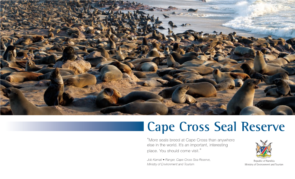 Cape Cross Seal Reserve “More Seals Breed at Cape Cross Than Anywhere Else in the World