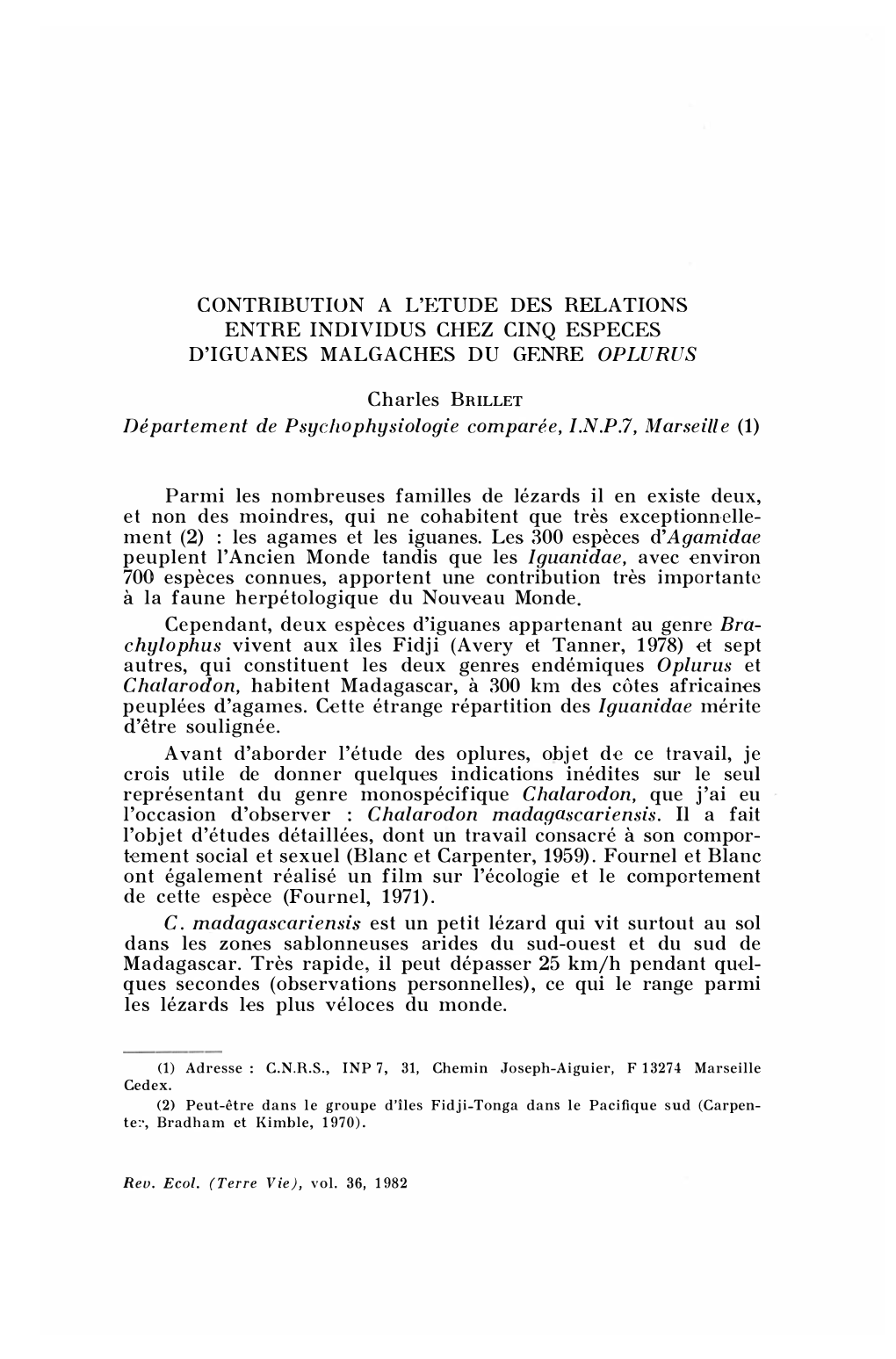 Contribution a L'etude Des Relations Entre Individus Chez Cinq Especes D'iguanes Malgaches Du Genre Oplurus