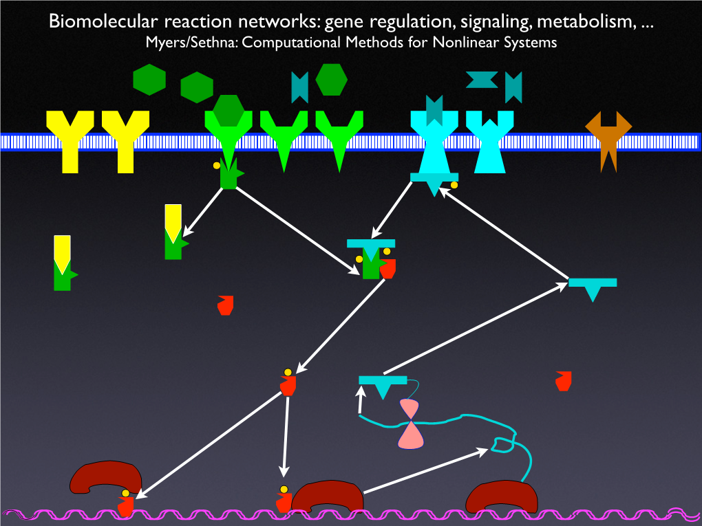 Biomolecular Reaction Networks: Gene Regulation, Signaling, Metabolism,