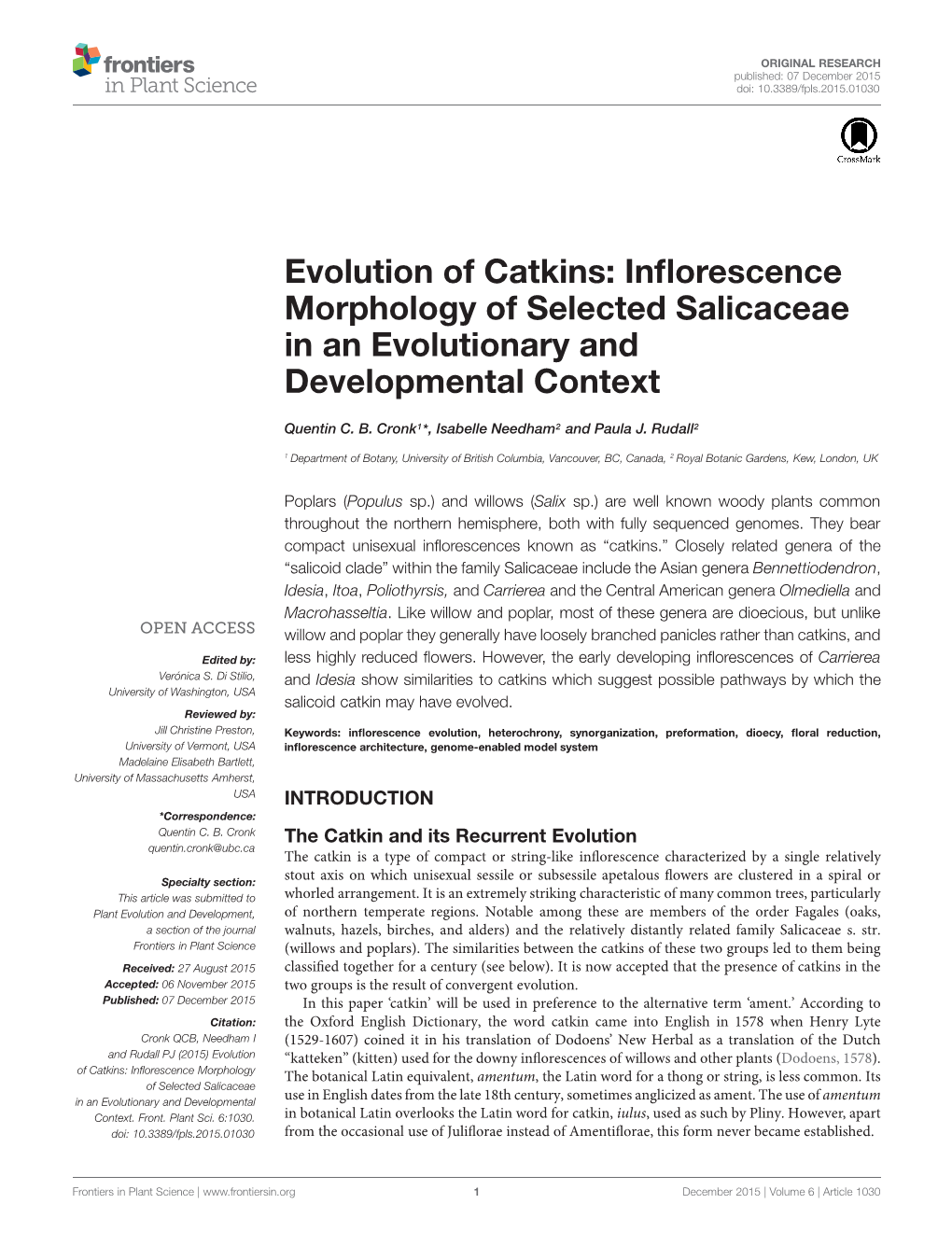 Evolution of Catkins: Inflorescence Morphology of Selected Salicaceae