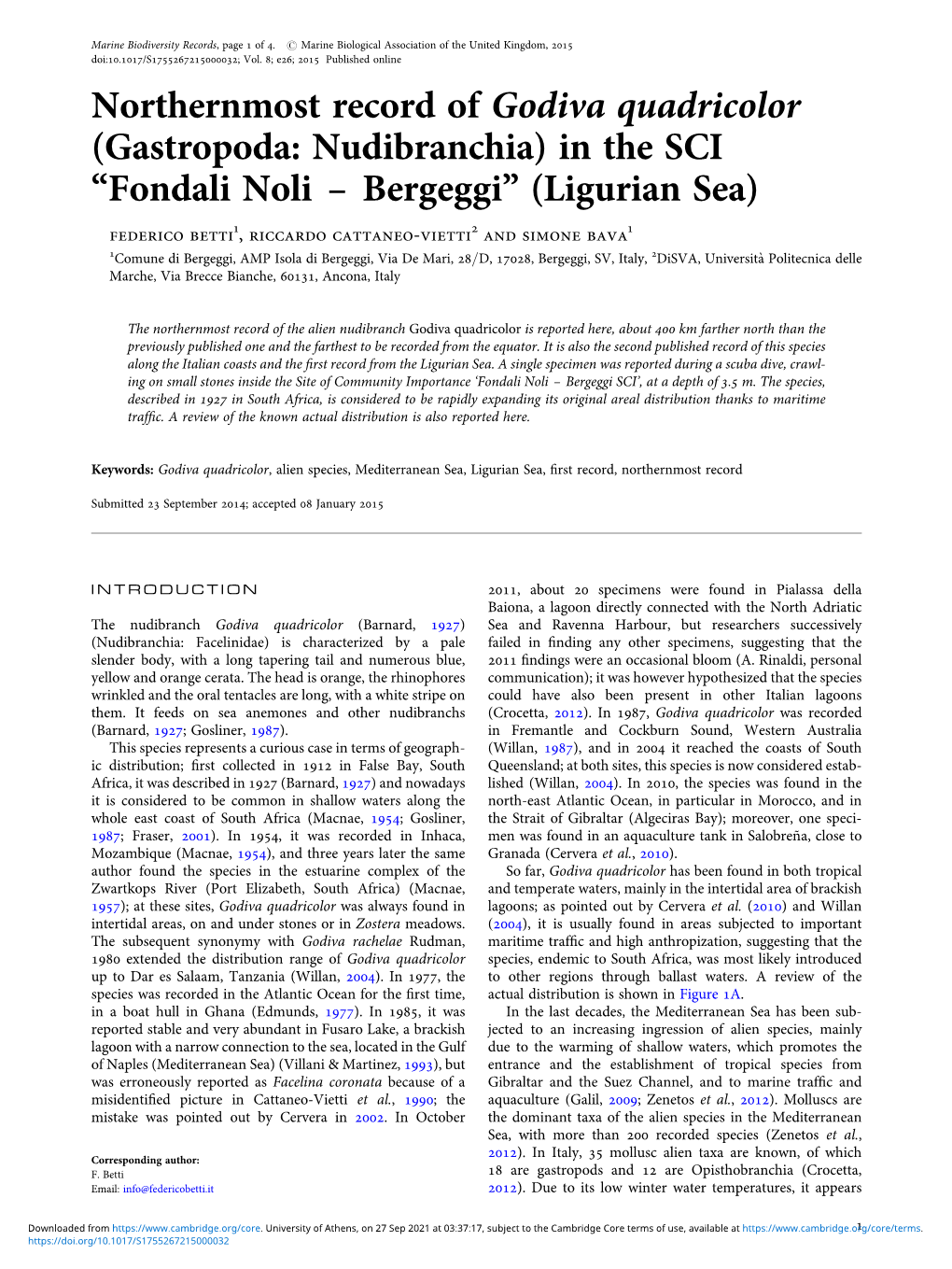 In the SCI “Fondali Noli – Bergeggi” (Ligurian Sea)