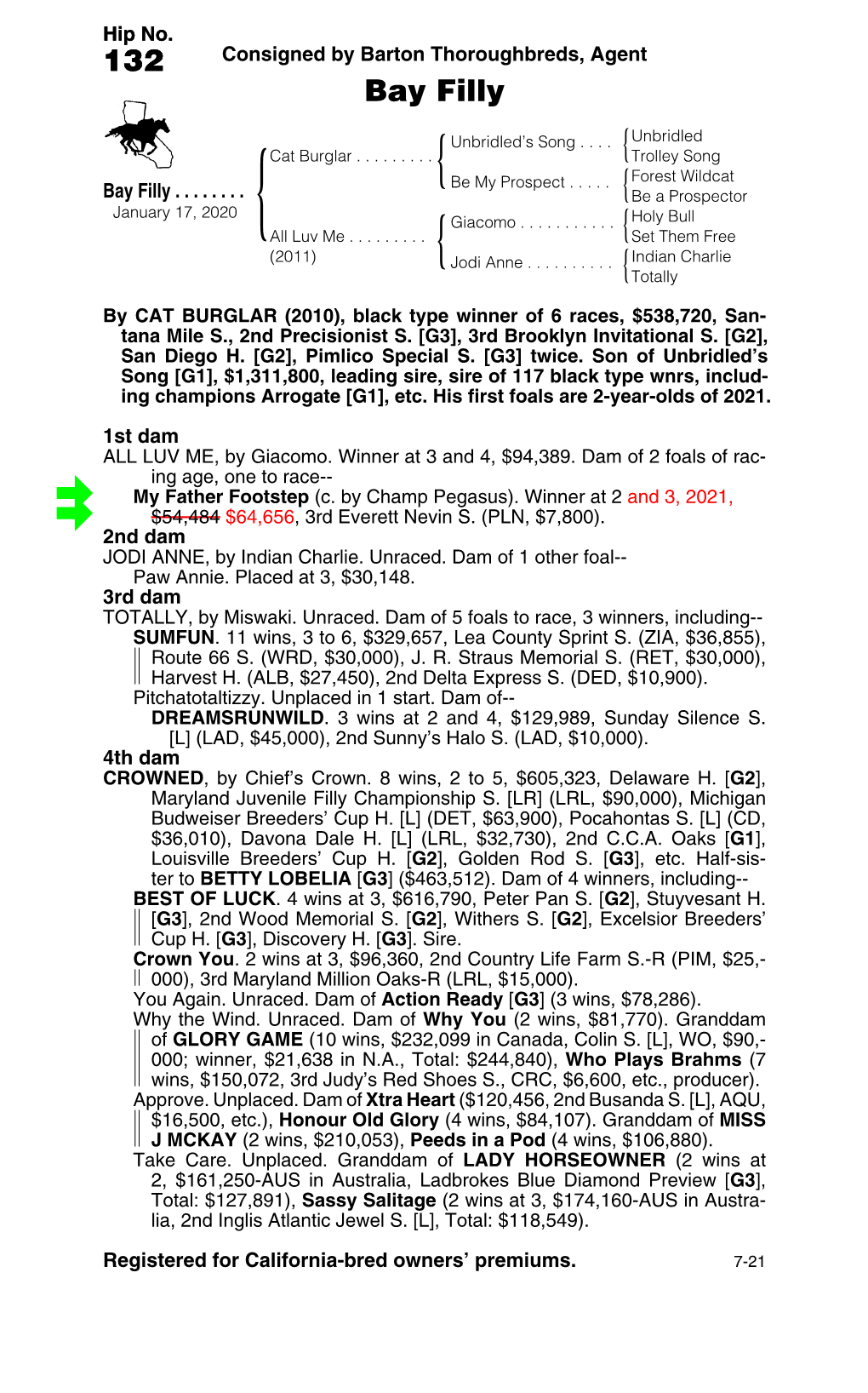 132 Consigned by Barton Thoroughbreds, Agent Bay Filly