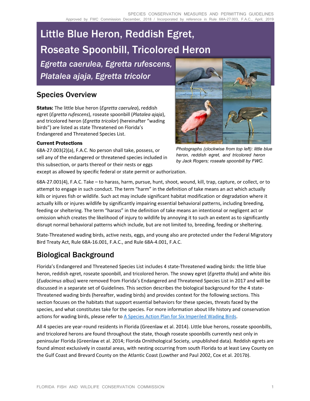Little Blue Heron, Reddish Egret, Roseate Spoonbill, and Tricolored Heron Species Conservation Measures and Permitting Guidelin