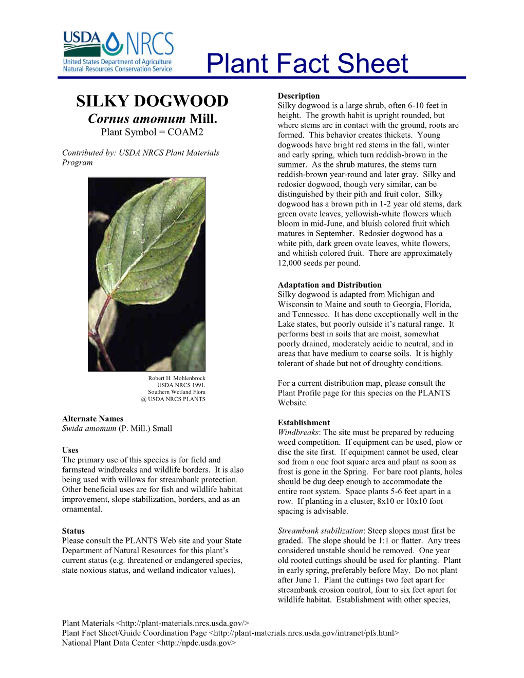 SILKY DOGWOOD Silky Dogwood Is a Large Shrub, Often 6-10 Feet in Height