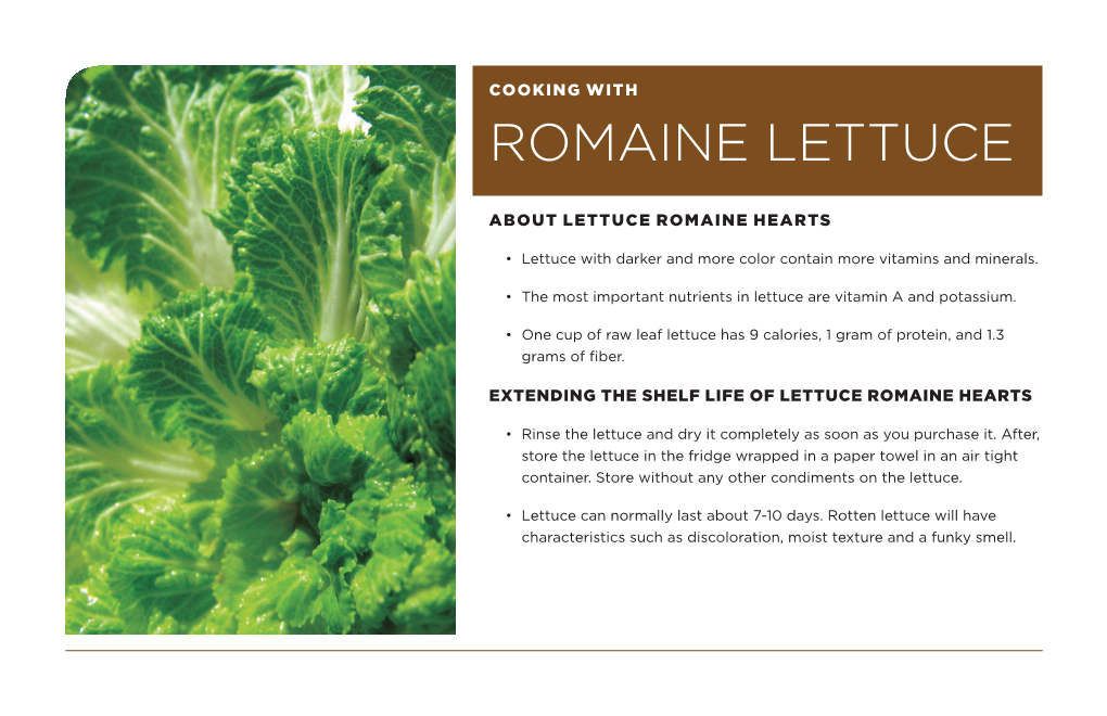 Romaine Lettuce