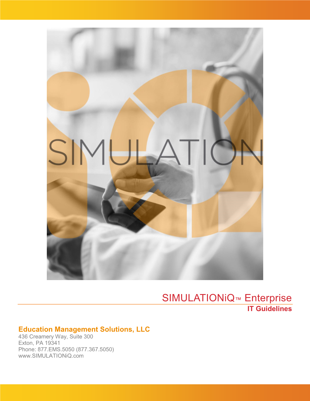 Simulationiq Enterprise IT Guidelines Pluto