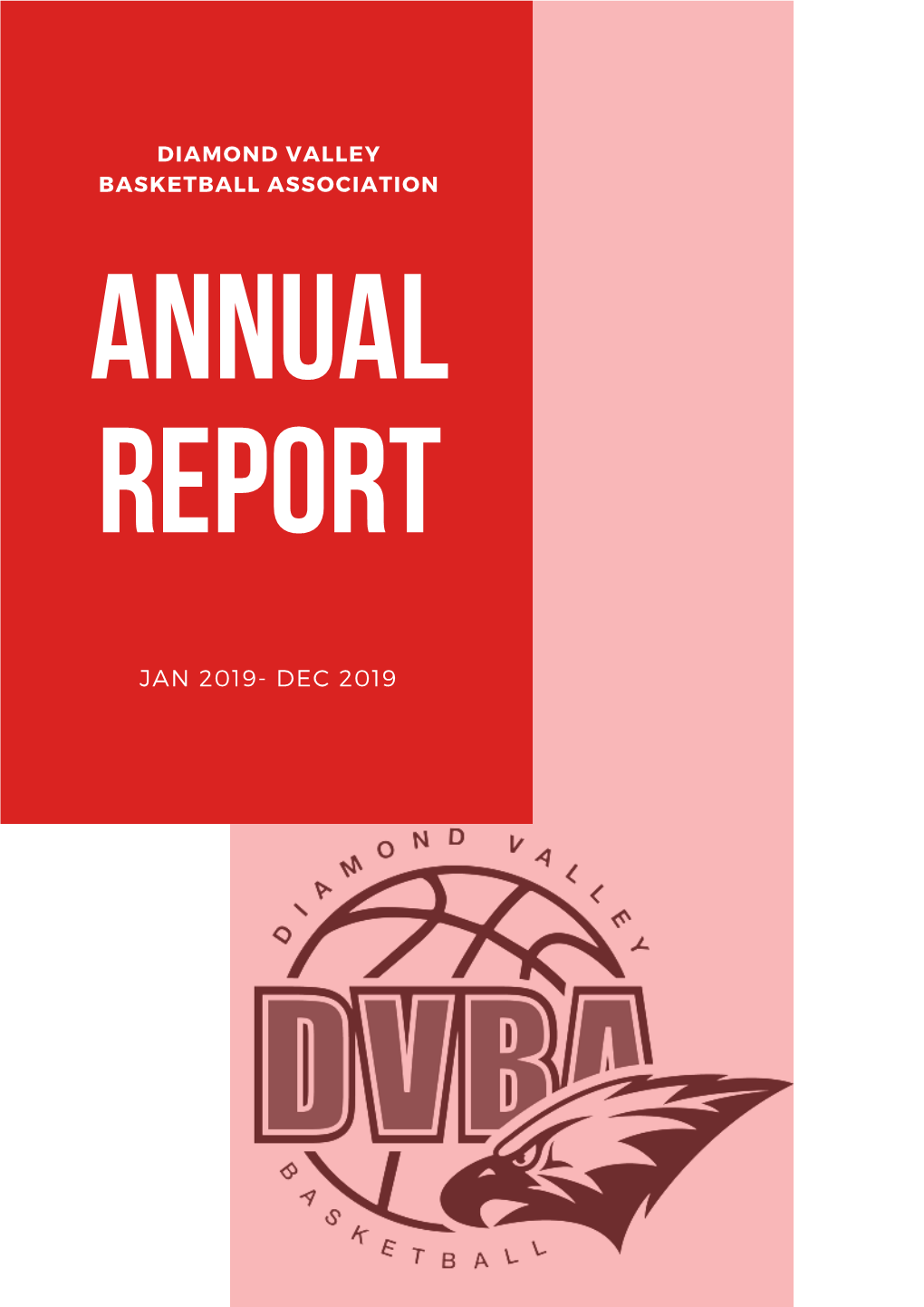 DVBA Annual Report 2019