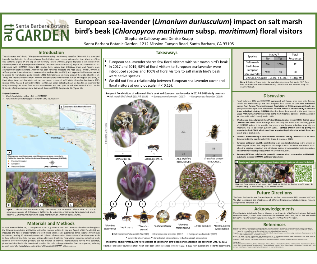 European Sea-Lavender (Limonium Duriusculum) Impact on Salt Marsh Bird’S Beak (Chloropyron Maritimum Subsp