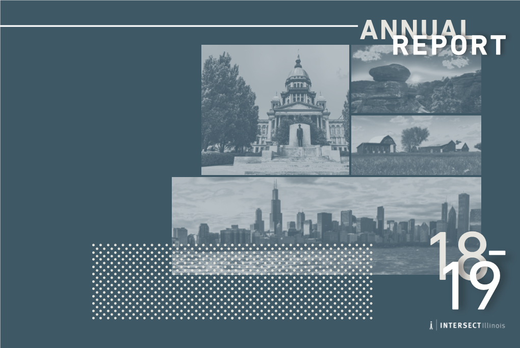 Annualreport2018-2019.Pdf