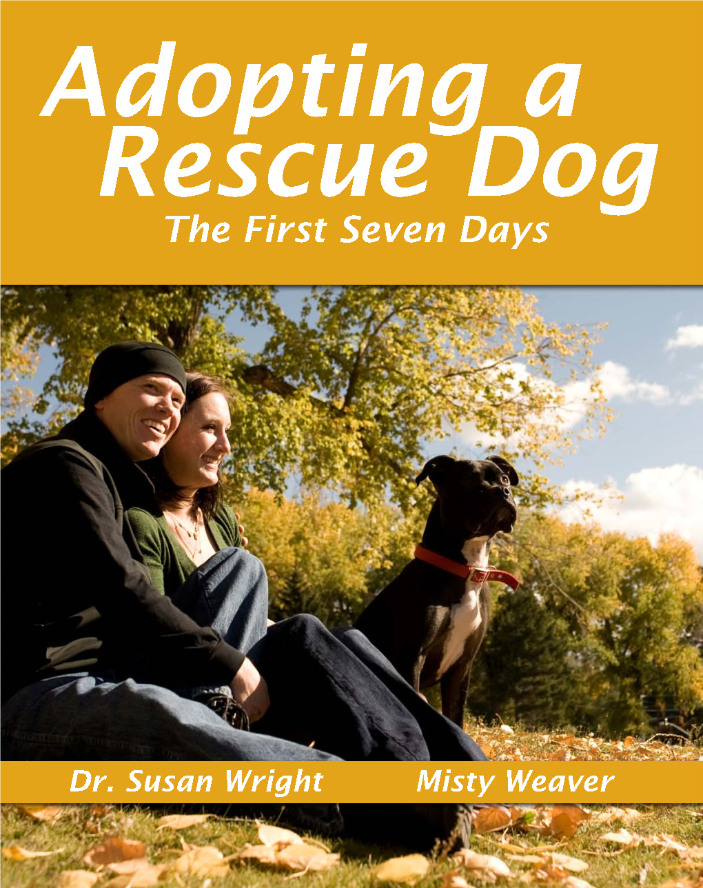 Adopting a Rescue Dog the First Seven Days