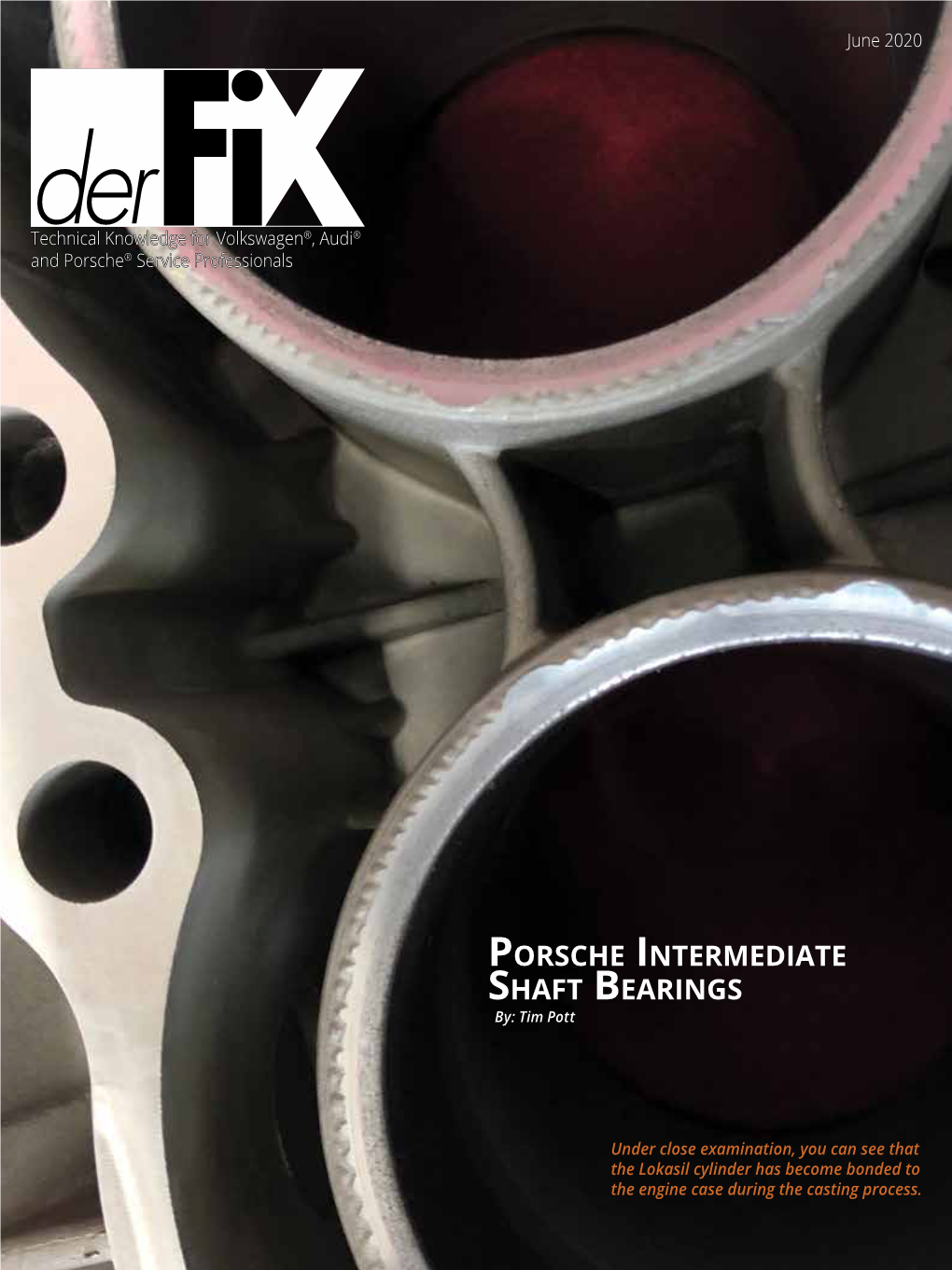 Porsche Intermediate Shaft Bearings June 2020