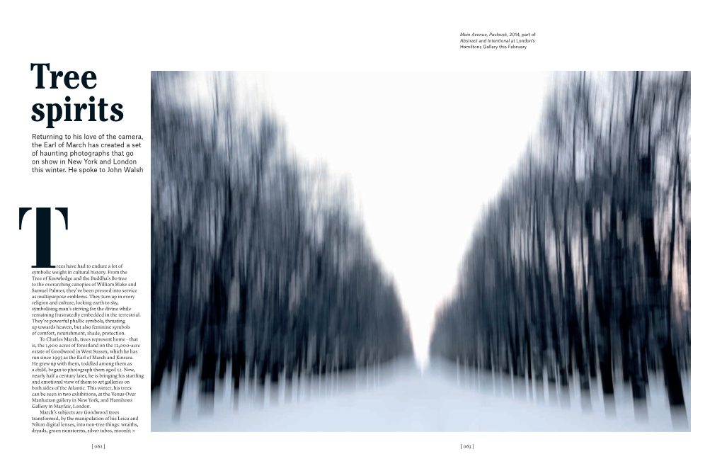 Tree Spirits Christie's Magazine Review
