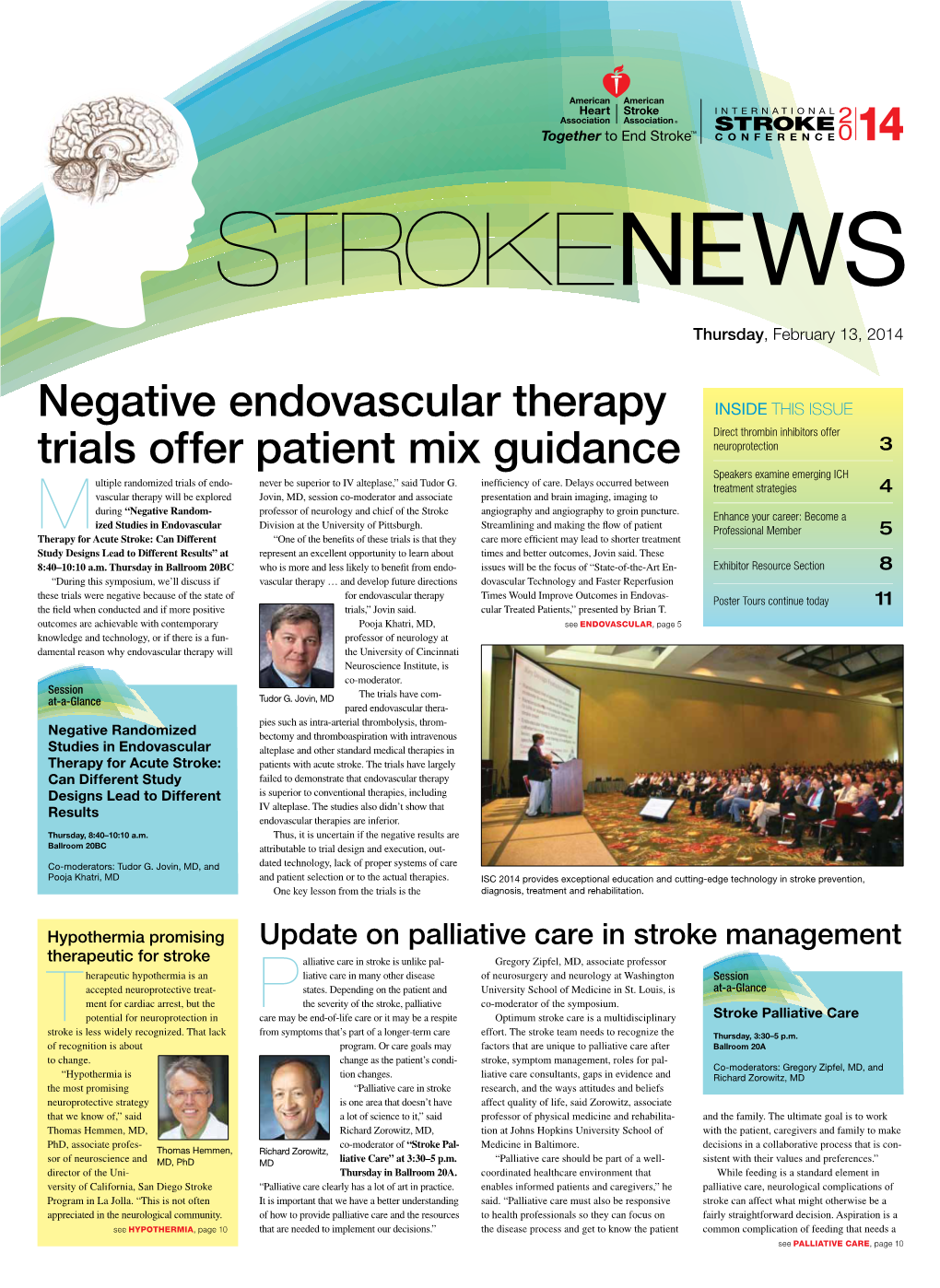 Negative Endovascular Therapy Trials Offer Patient Mix Guidance