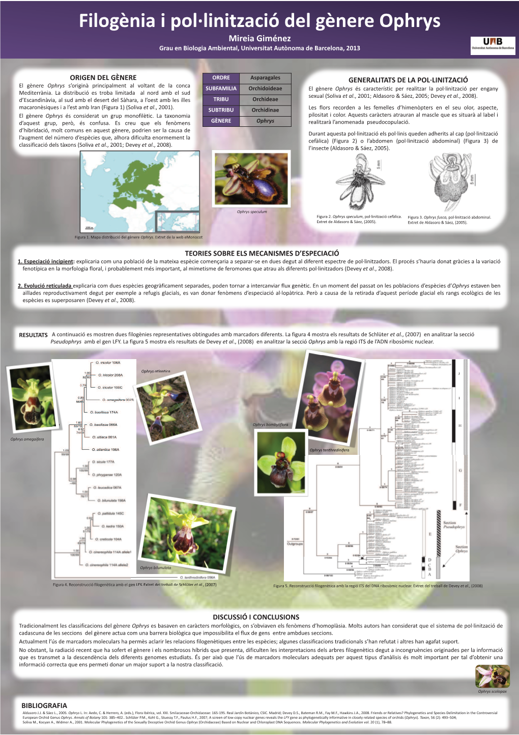 Filogènia I Pol·Linització Del Gènere Ophrys Mireia Giménez Grau En Biologia Ambiental, Universitat Autònoma De Barcelona, 2013