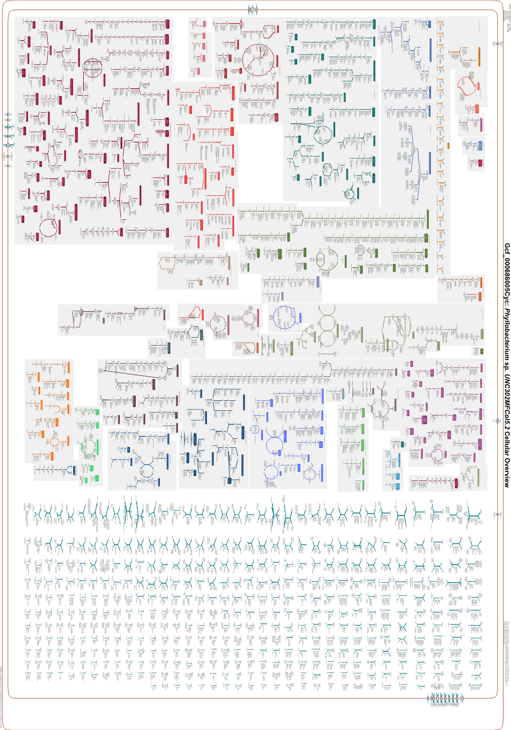 Generated by SRI International Pathway Tools Version 25.0, Authors S