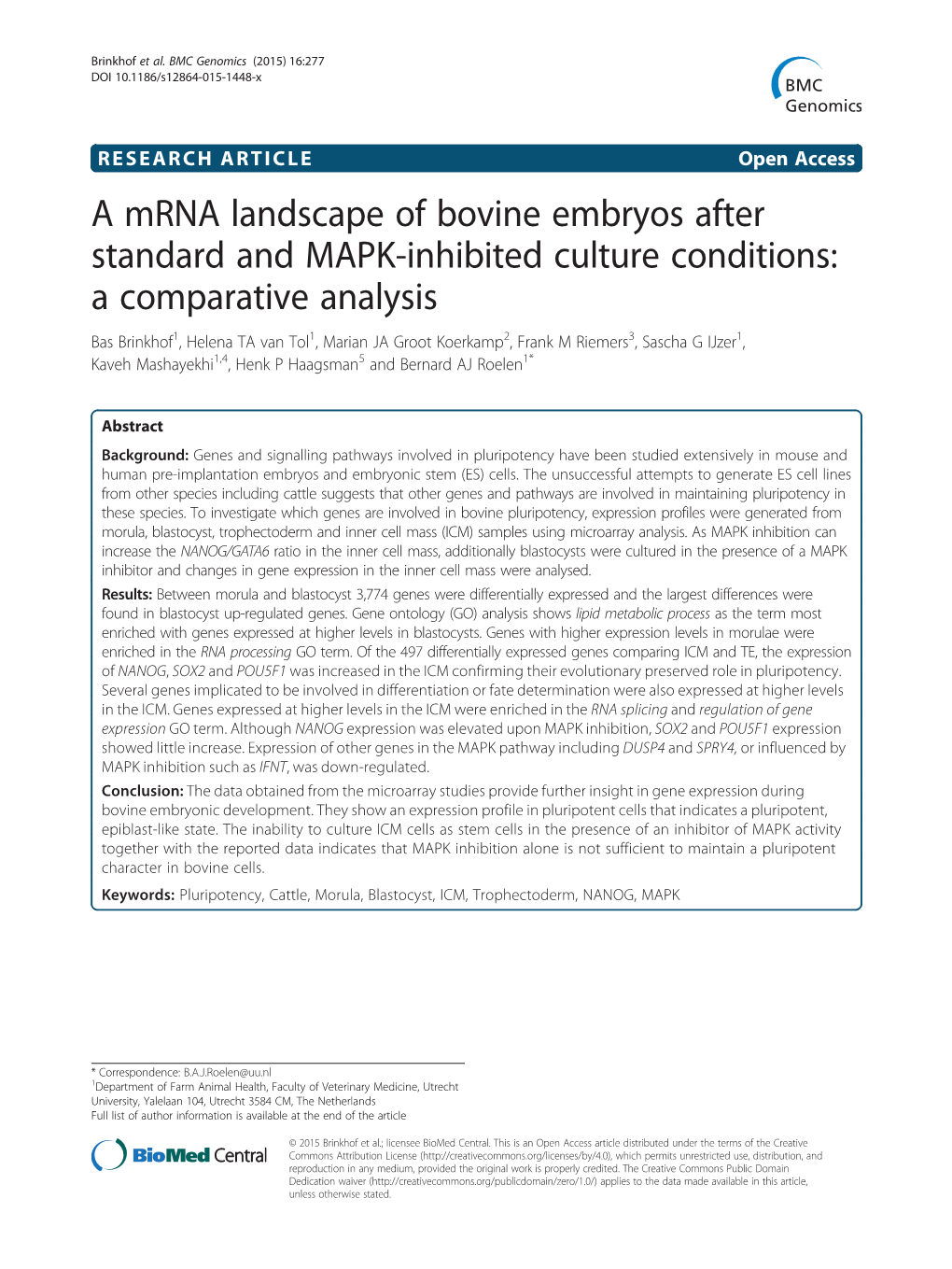 A Mrna Landscape of Bovine Embryos After Standard and MAPK