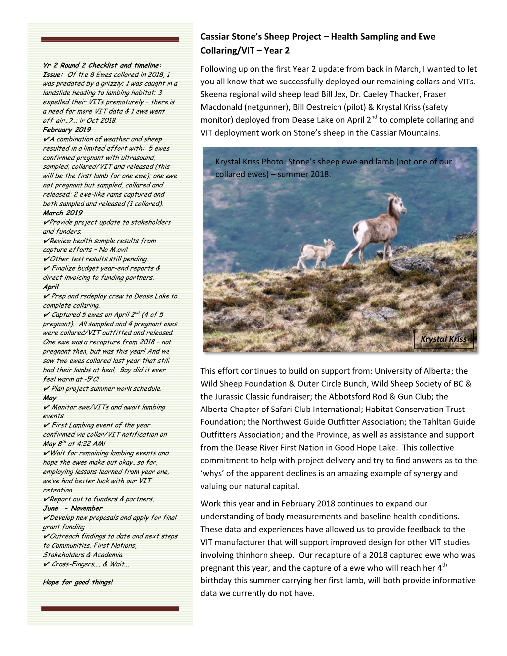 Cassiar Stone's Sheep Project – Health Sampling and Ewe Collaring