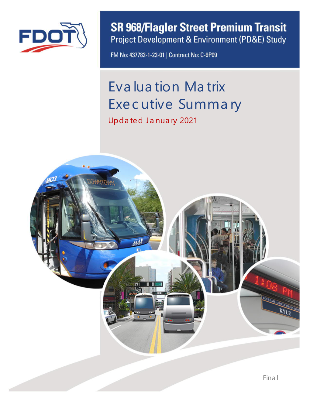 Evaluation Matrix Executive Summary Updated January 2021