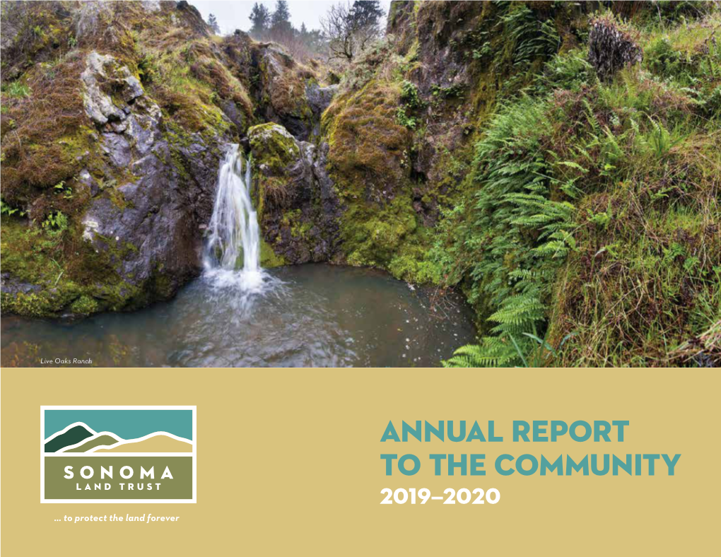 2019-2020 Annual Report