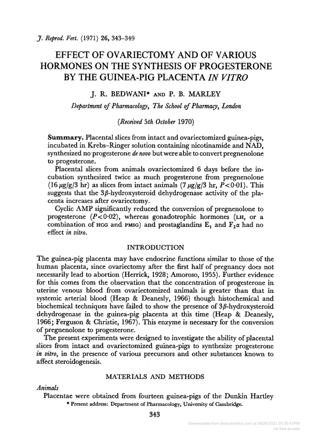 Progesterone by the Guinea-Pig Placenta in Vitro