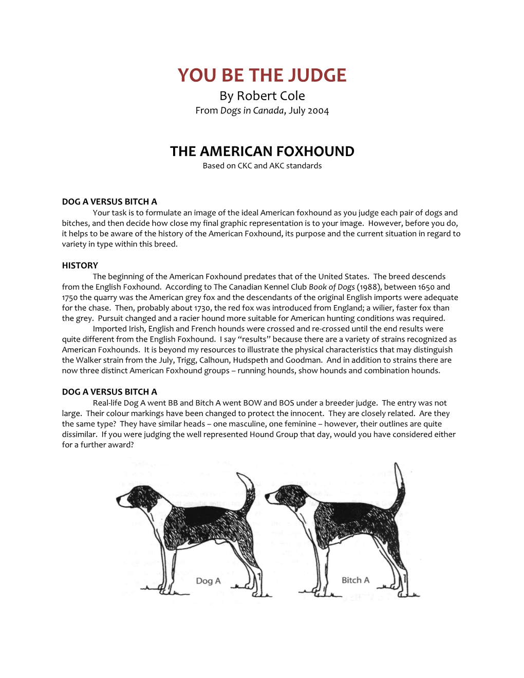AMERICAN FOXHOUND Based on CKC and AKC Standards