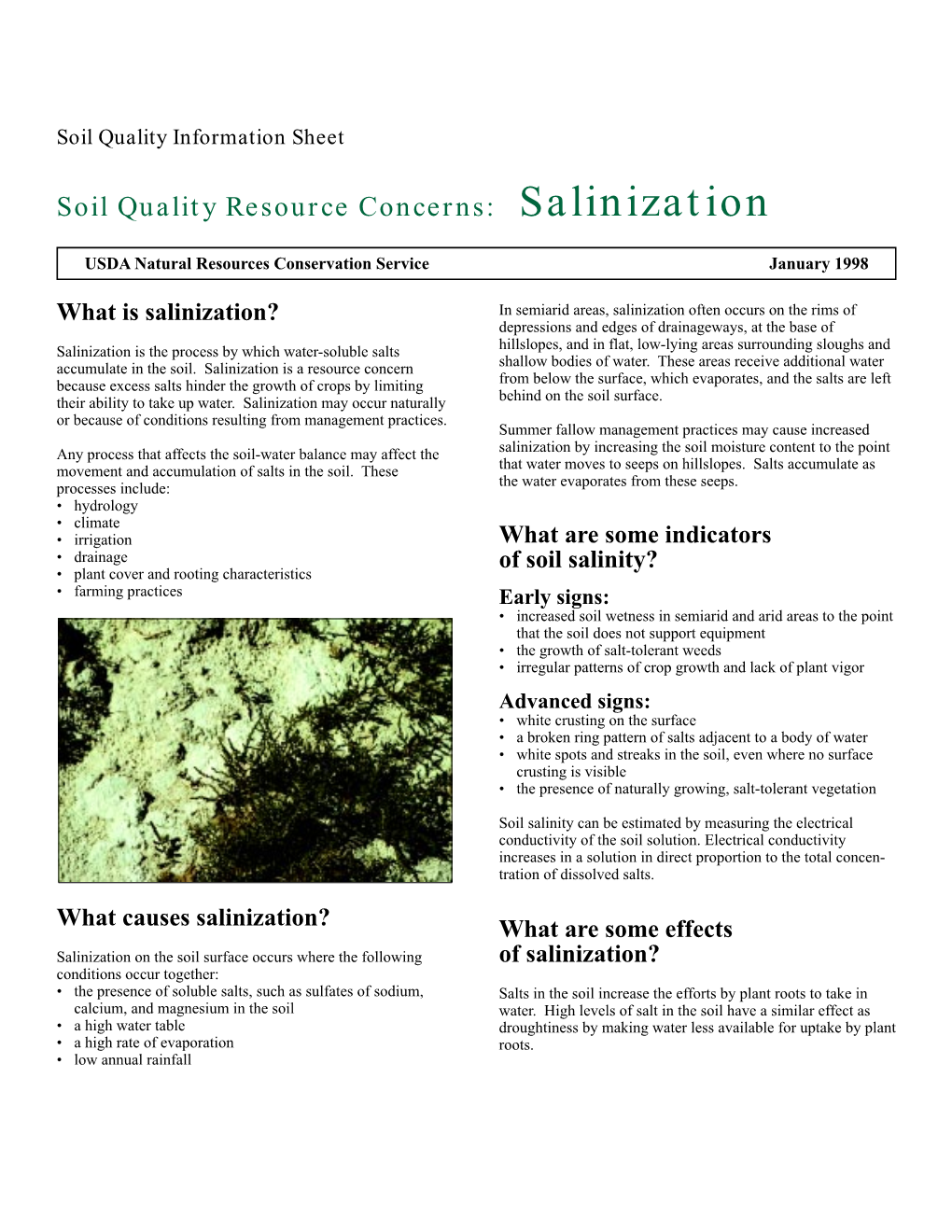 Soil Quality Resource Concerns: Salinization