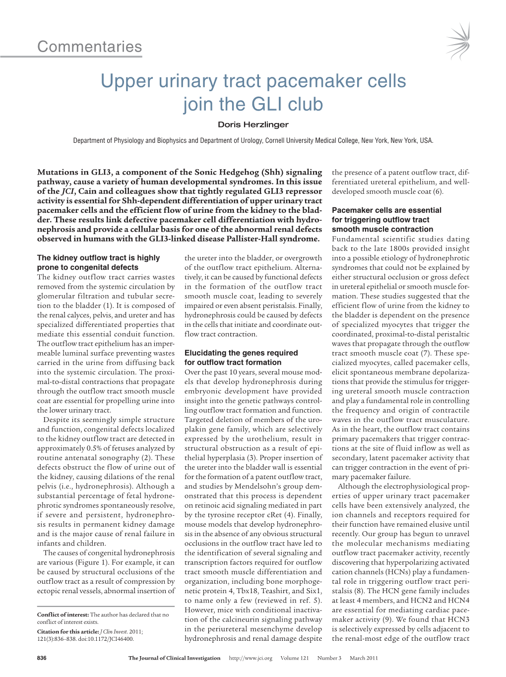 Upper Urinary Tract Pacemaker Cells Join the GLI Club Doris Herzlinger