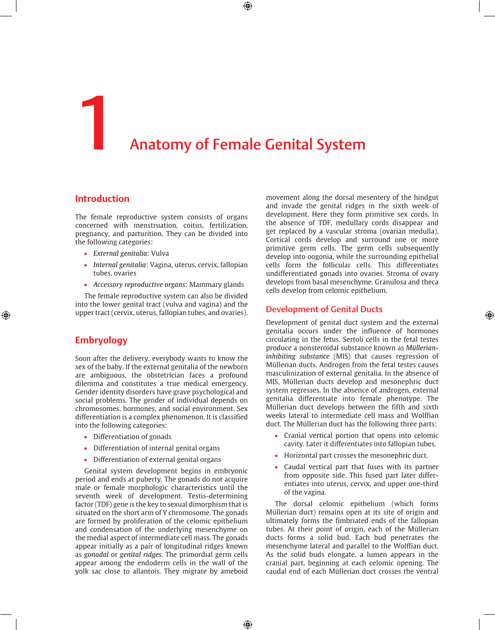 Anatomy of Female Genital System