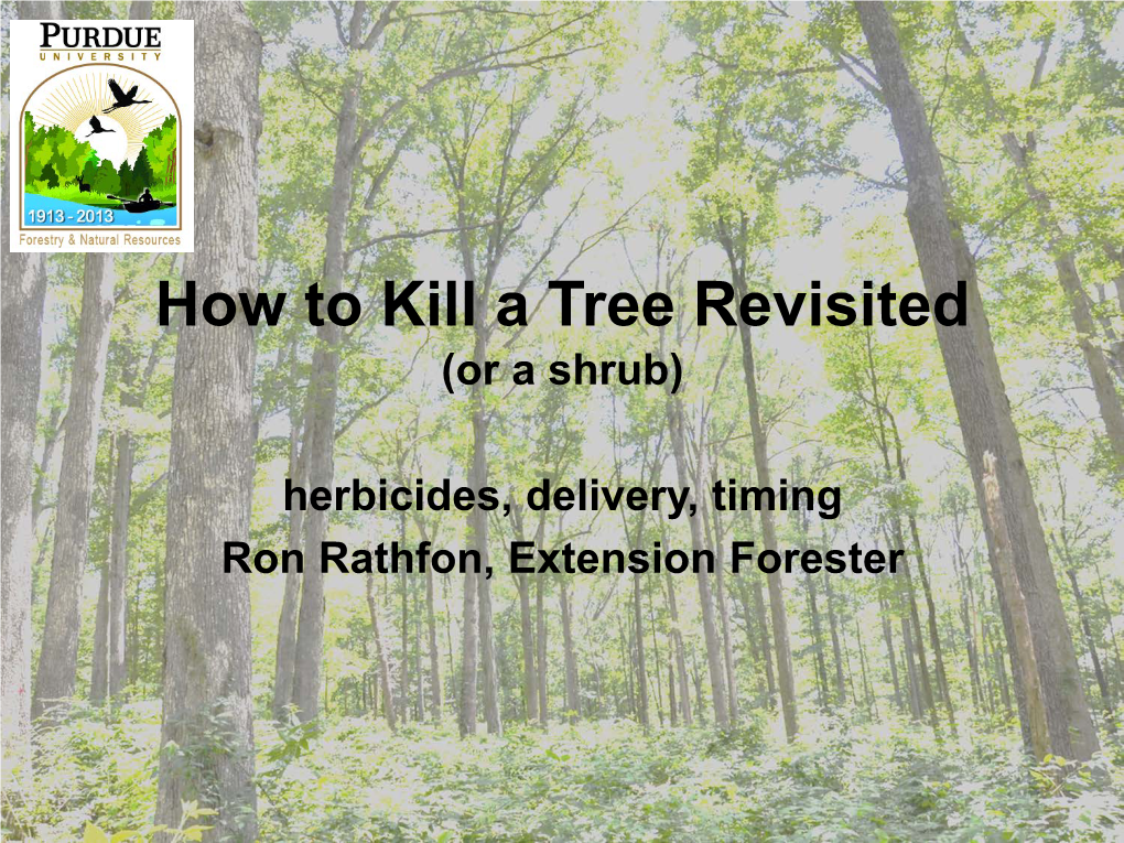 How to Kill a Tree Revisited (Or a Shrub)