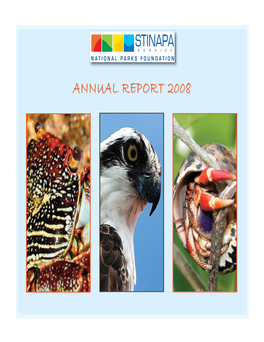 Annual Report 2008