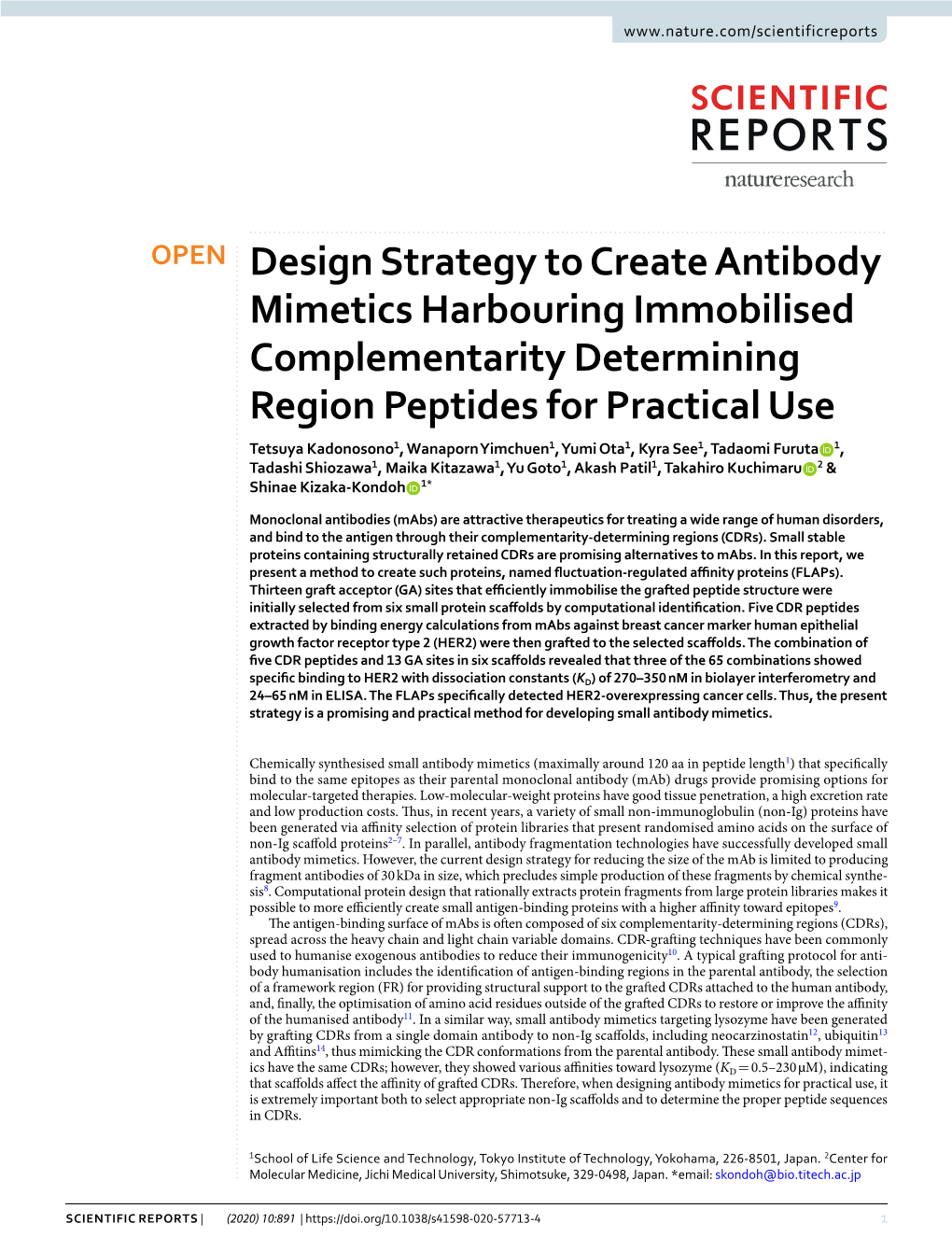 Design Strategy to Create Antibody Mimetics Harbouring Immobilised