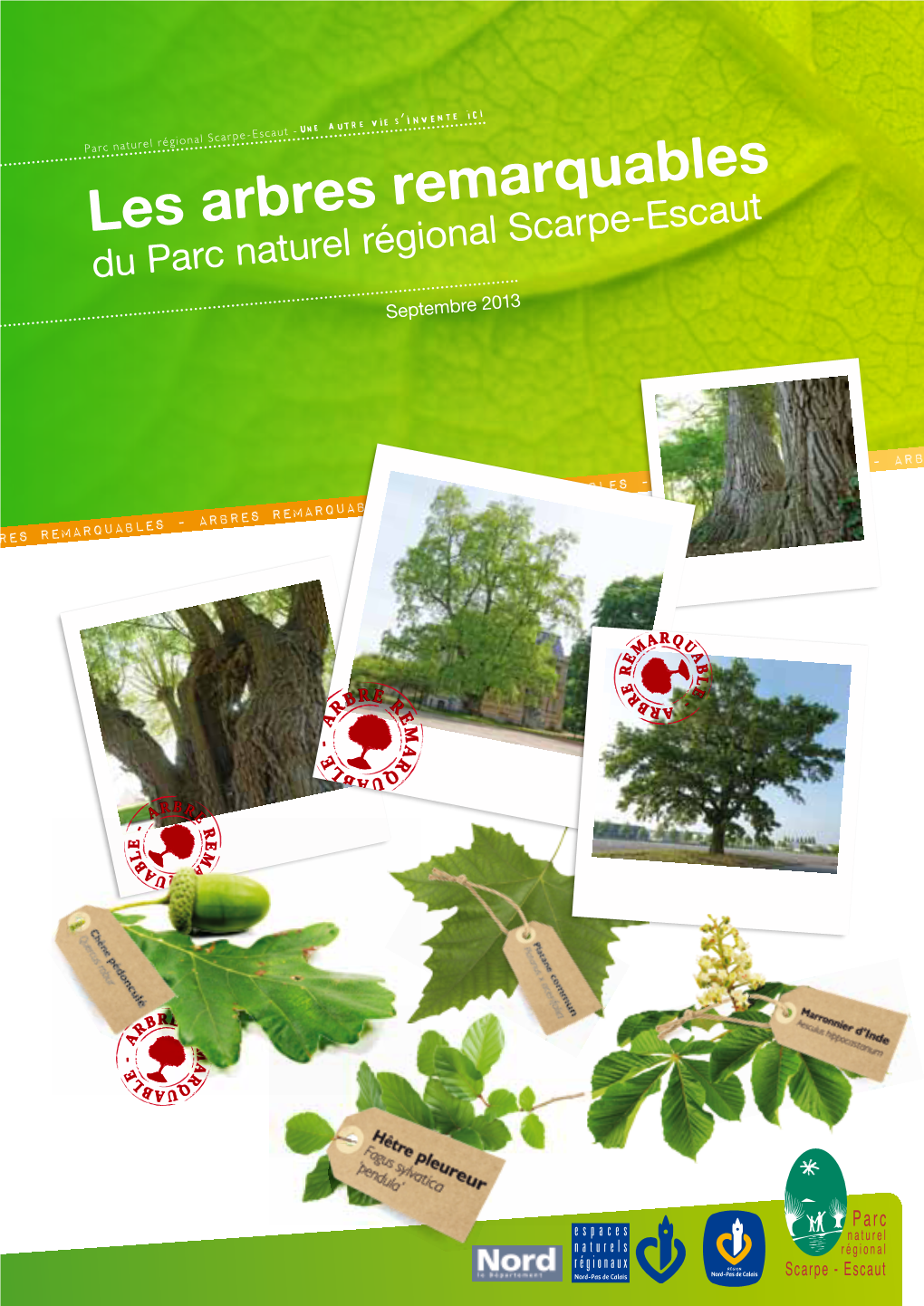 Les Arbres Remarquables Du Parc Naturel Régional Scarpe-Escaut Septembre 2013