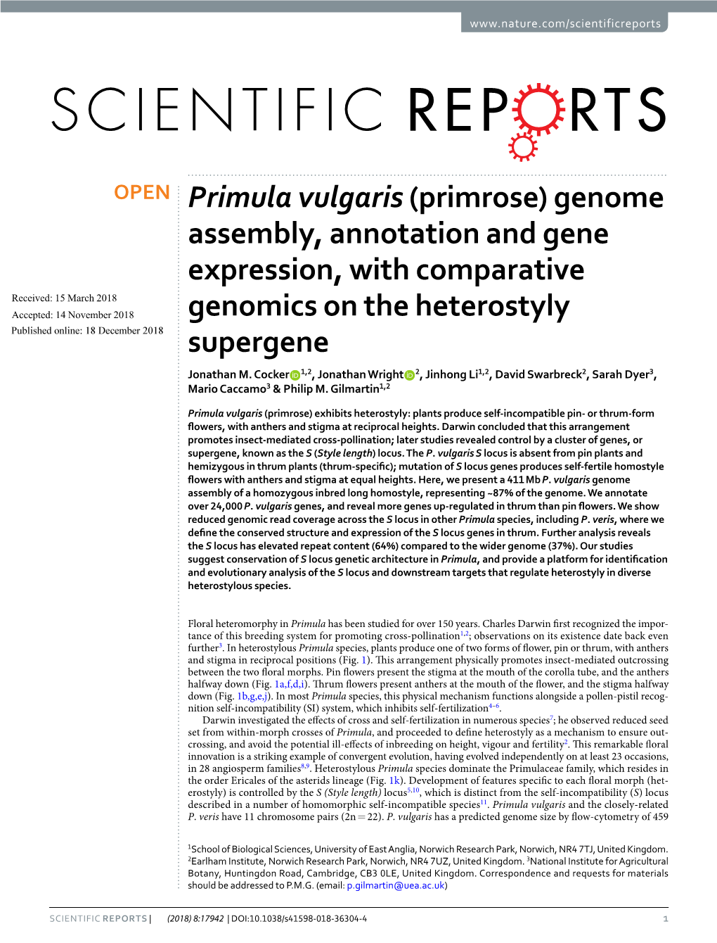 Primula Vulgaris (Primrose) Genome Assembly, Annotation and Gene Expression, with Comparative Genomics on the Heterostyly Superg