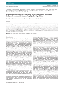 Hidden Diversity and Cryptic Speciation Refute Cosmopolitan Distribution in Caprella Penantis (Crustacea: Amphipoda: Caprellidae)