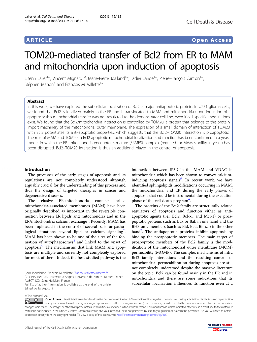 TOM20-Mediated Transfer of Bcl2 from ER to MAM and Mitochondria Upon