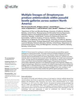 Multiple Lineages of Streptomyces Produce Antimicrobials Within