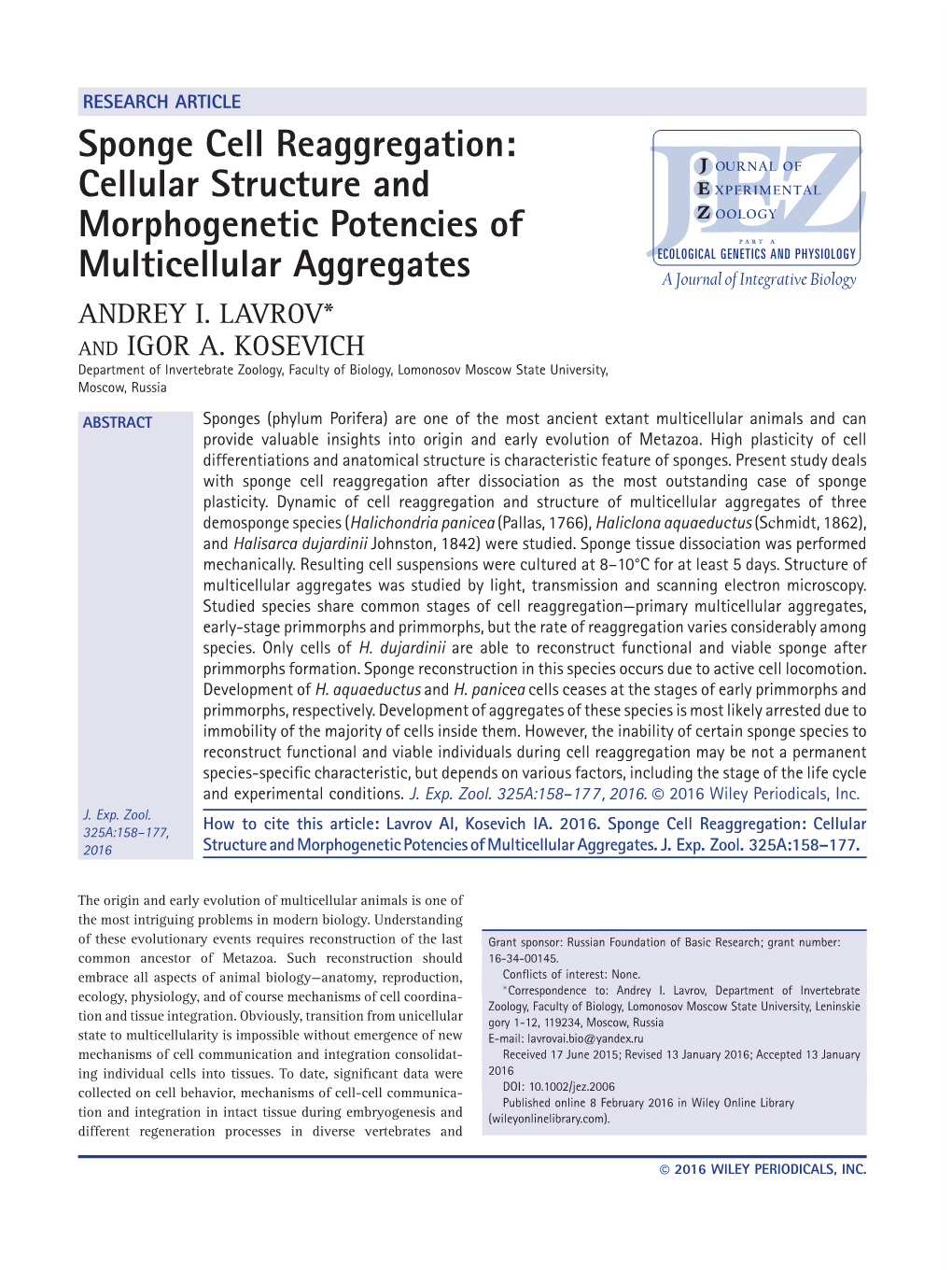 Sponge Cell Reaggregation: Cellular Structure and Morphogenetic Potencies of Multicellular Aggregates ANDREY I