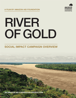 Social Impact Campaign Overview