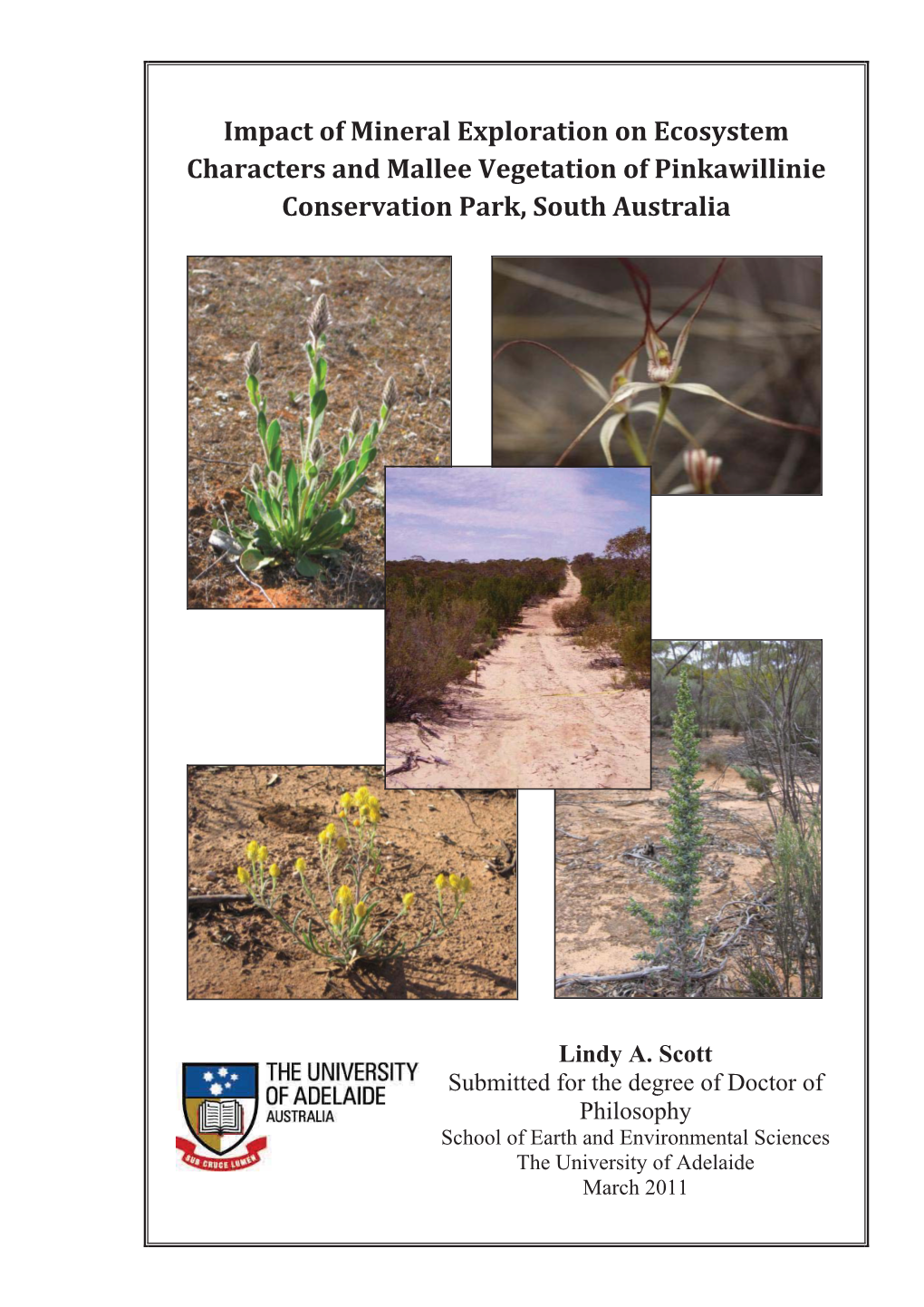 Impact of Mineral Exploration on Ecosystem Characters and Mallee Vegetation of Pinkawillinie Conservation Park, South Australia