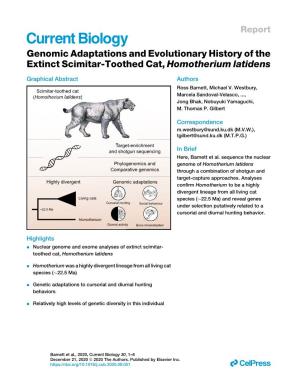 Genomic Adaptations and Evolutionary History of the Extinct Scimitar-Toothed Cat, Homotherium Latidens