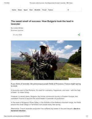 The Sweet Smell of Success How Bulgaria Took the Lead in Lavender